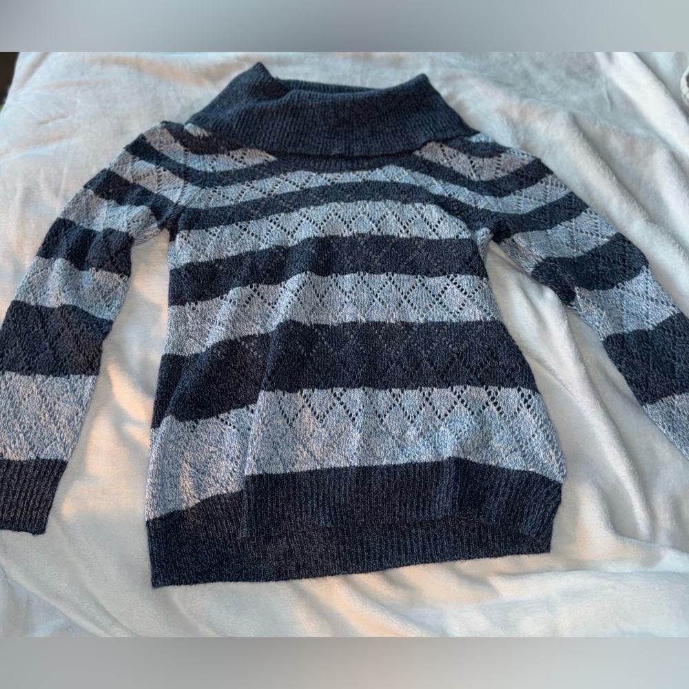Carolyn Taylor xl turtleneck sweater